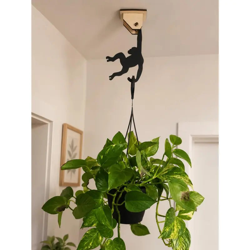 Monkey Hanger (Pack of 3) | Banana Holder & Multipurpose Hanging Hooks
